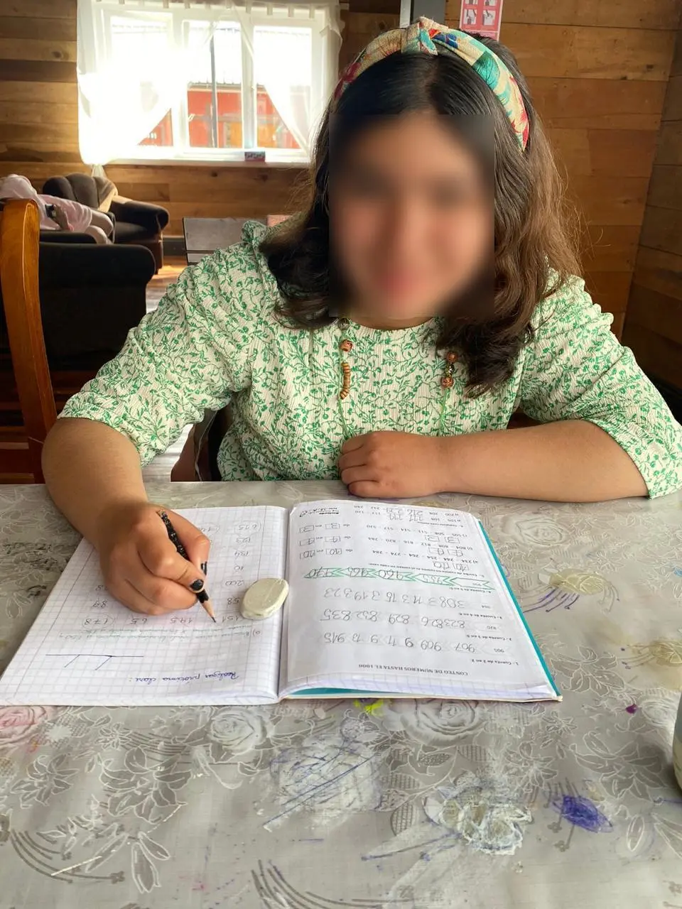 Imagen de galería 6