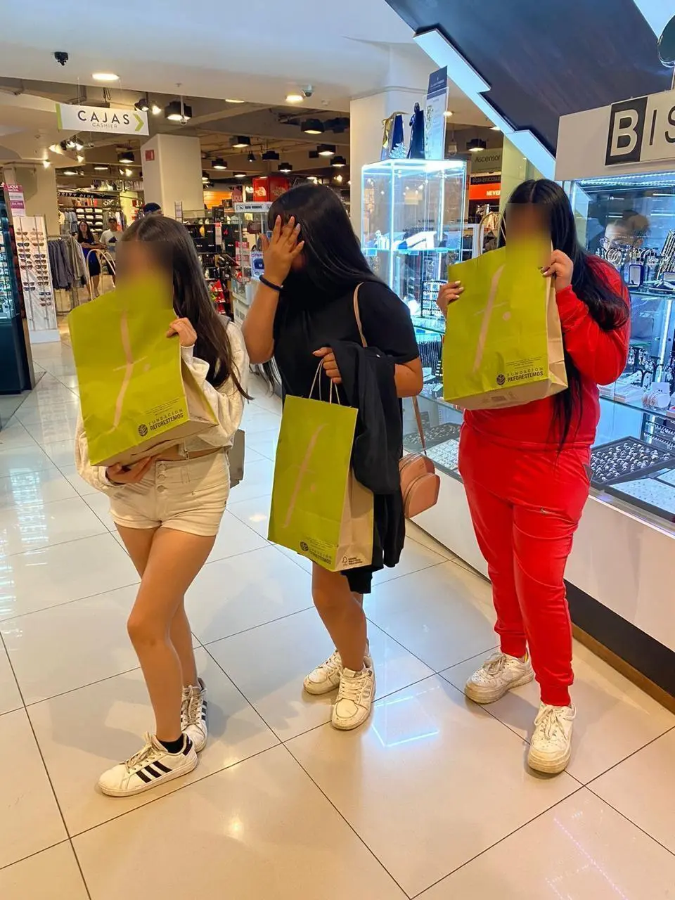 Imagen de galería 13