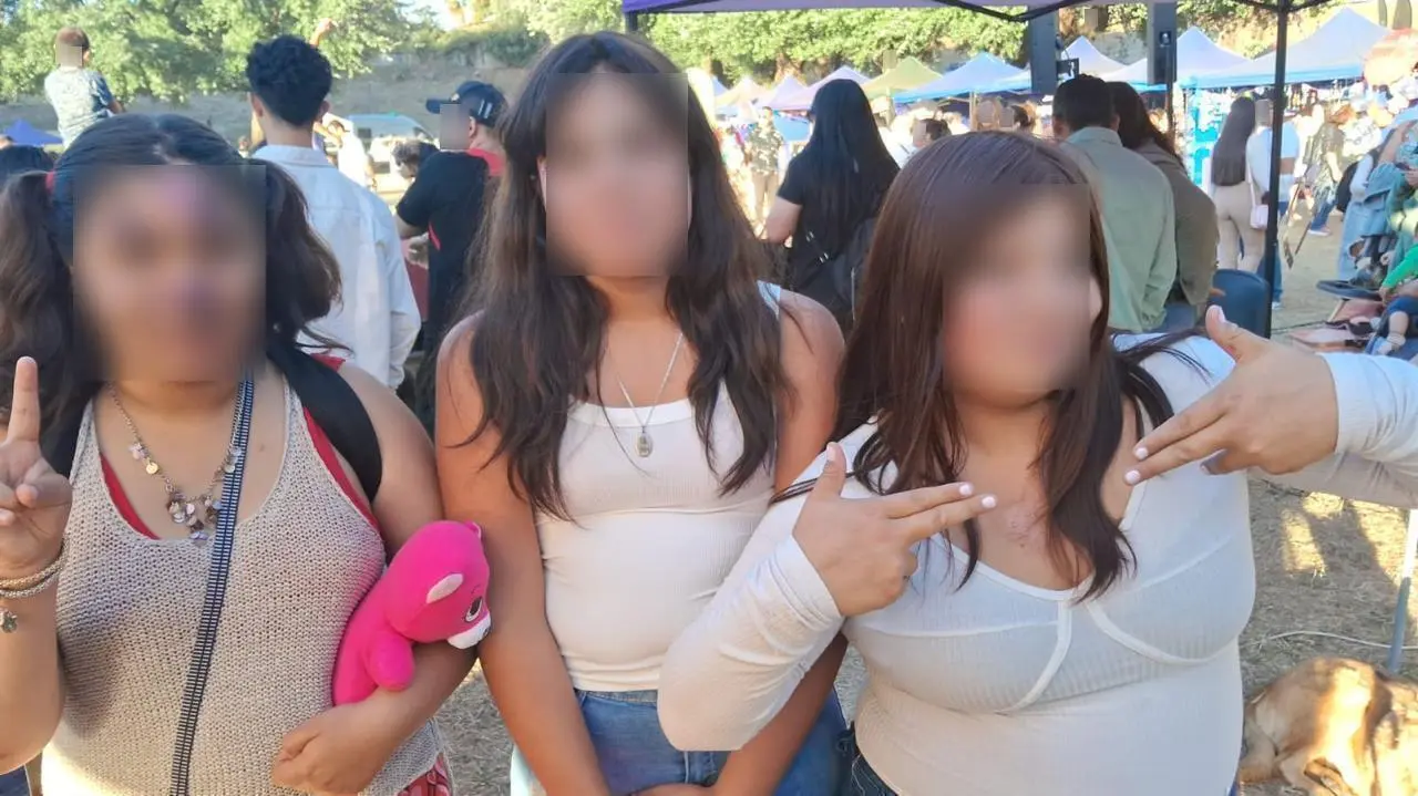 Imagen de galería 16