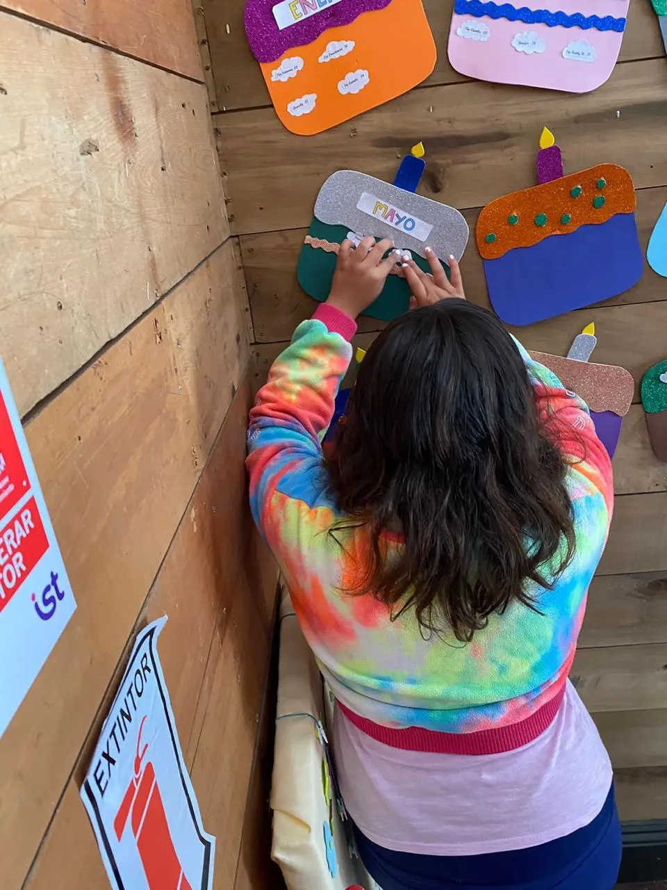 Imagen de galería 48